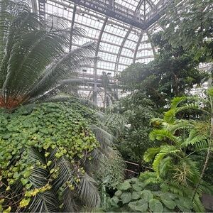 Meet your Posher, Nicholas